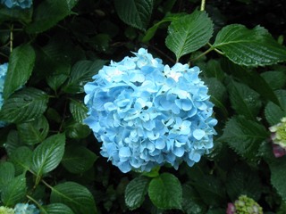 2011.6.13第３回SZK③.JPG