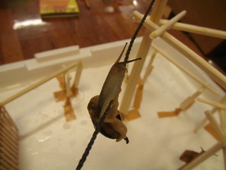 2011.6.13第３回SZK⑮.JPG