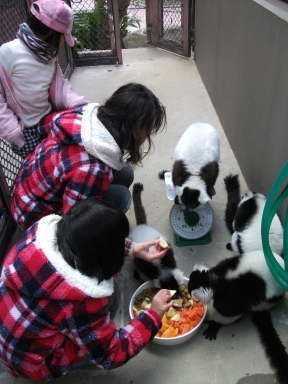 20110117飼育体験⑩.JPG