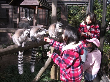 20110117飼育値権⑭.JPG