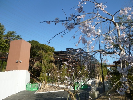 20110404ゆめ１４①.JPG