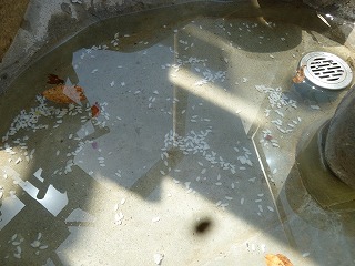 20120405アライグマ誕生日⑩.jpg