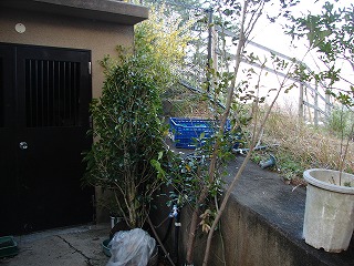 20120407ドングリ⑥.jpg