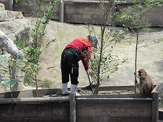 20120416サル山植樹③.jpg