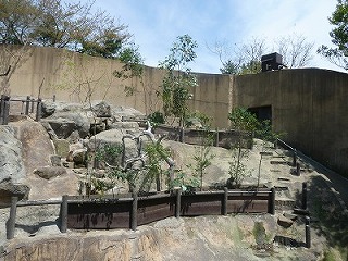 20120416サル山植樹④.jpg