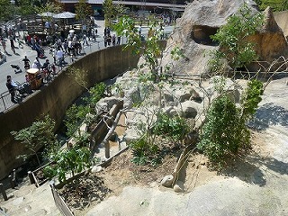 20120416サル山植樹⑤.jpg