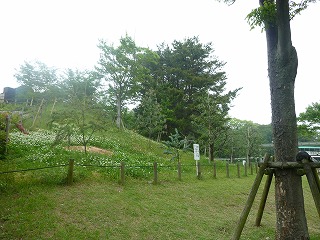 20120509おやつ①.jpg