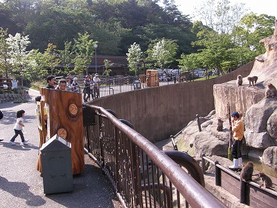 20120509たけのこ③.jpg