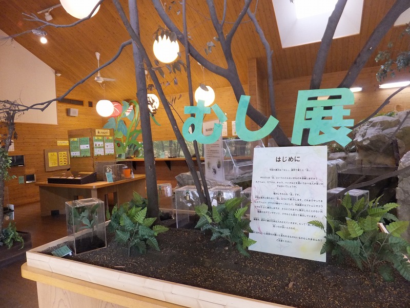 20120526むし1.jpg