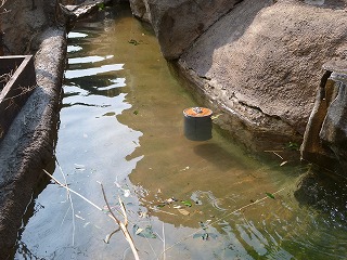 20120708ニホンザルフィーダー⑧.jpg