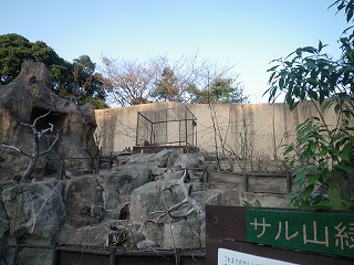 20121103サル山①.jpg