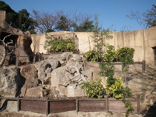 20121103サル山⑧.jpg