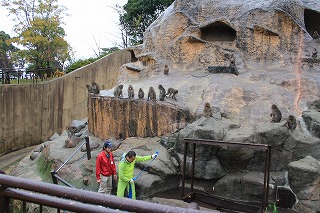 20121228サル山温泉②.jpg