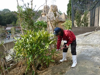 20130101緑化１－１.jpg