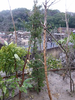 20130101緑化１－７.jpg