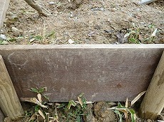 20130101緑化２－９.jpg