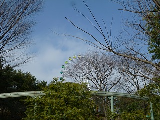 20130202カエル①.jpg