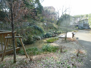 20130202カエル②.jpg