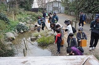 20130320カエル④.jpg