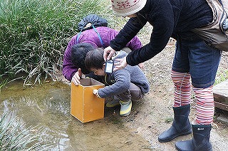 20130320カエル⑧.jpg