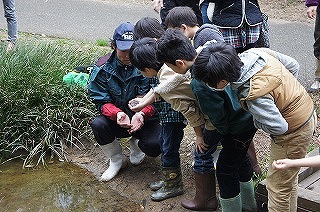 20130320カエル⑨.jpg