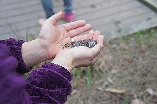 20130320カエル⑩.jpg