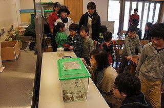 20130320カエル⑫.jpg