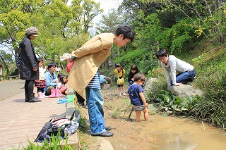 20130415カエル④.jpg