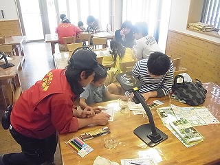 20130415カエル⑪.jpg