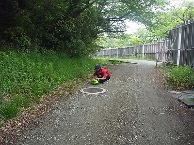 20130516木の実①.jpg