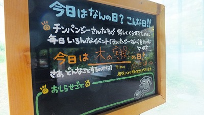 20130516木の実②.jpg