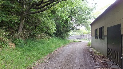20130516木の実⑬.jpg