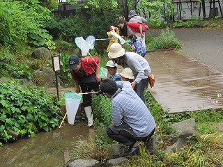 20130519ゆめ②.jpg