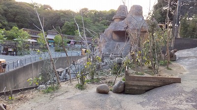 20130530サル山①.jpg