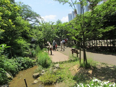 20130621カタツムリ②.jpg