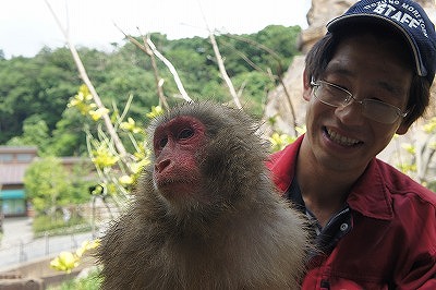 20130709ニホンザル⑤.jpg