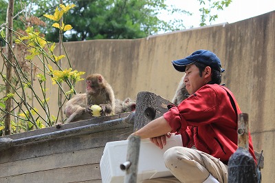 20130725ニホンザル⑨.jpg