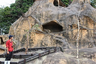 20130913サル山④.jpg