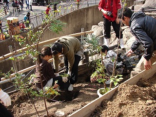 20130920サル山②.jpg