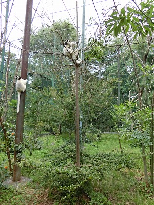 20140216マダ18.jpg