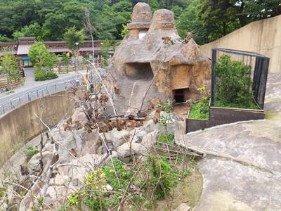 20140619サル９.JPG