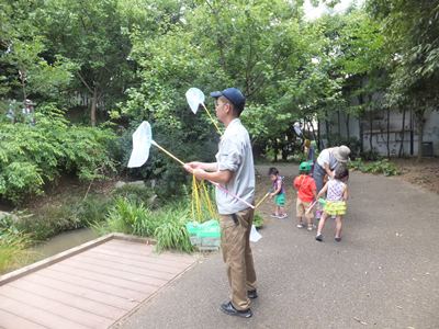 20140729里山１.JPG