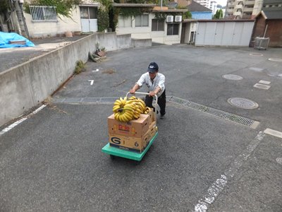 20141019サルバナナ３.JPG