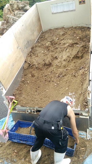 20141024サル６.JPG