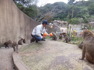 20141031サル６.JPG