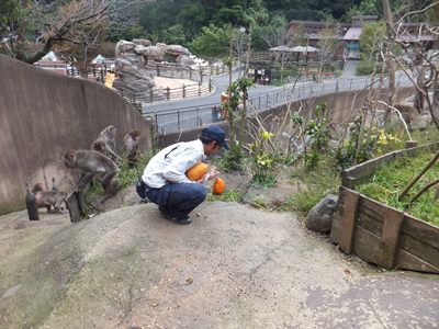 20141031サル８.JPG