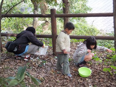 20141116どんぐり２.JPG