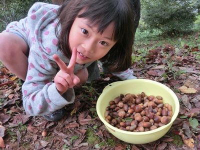 20141116どんぐり８.JPG