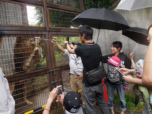 2015-7-8-009願い.jpg