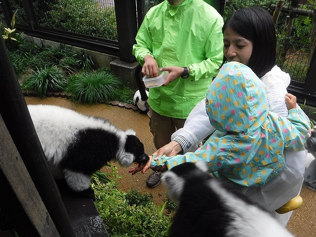 2015-7-8-012願い.jpg